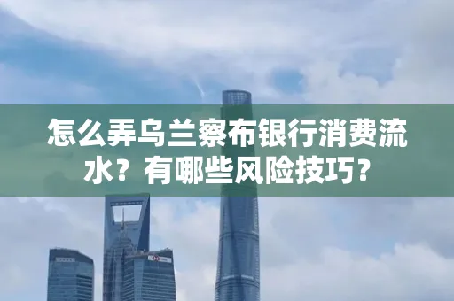 怎么弄乌兰察布银行消费流水？有哪些风险技巧？