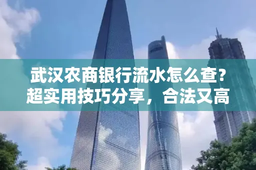武汉农商银行流水怎么查？超实用技巧分享，合法又高效！