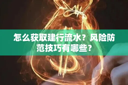 怎么获取建行流水？风险防范技巧有哪些？