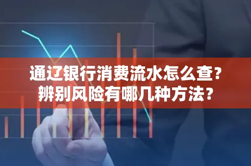 通辽银行消费流水怎么查？辨别风险有哪几种方法？